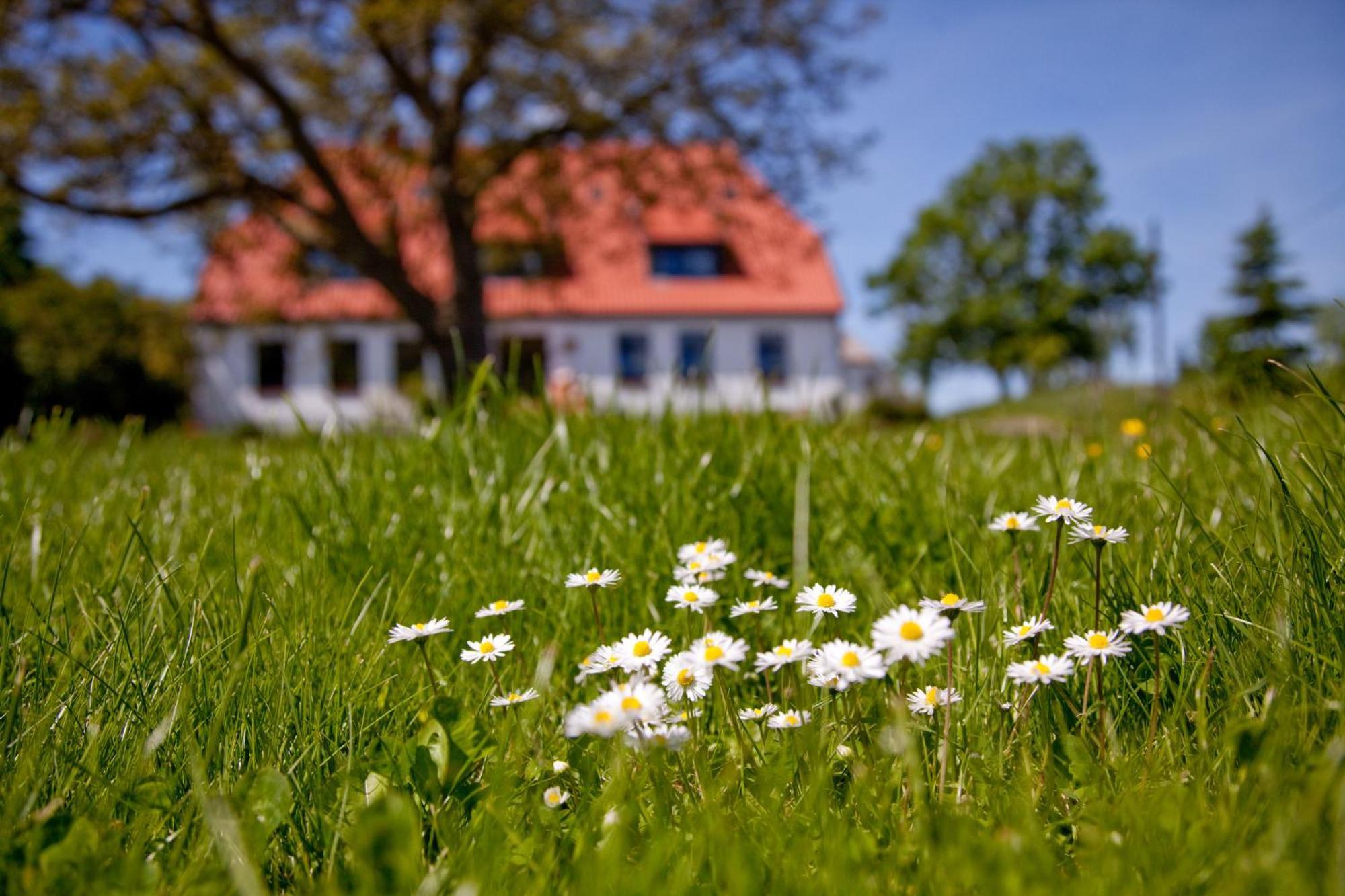 Gutshaus Ketelshagen Hotel Putbus Exterior photo